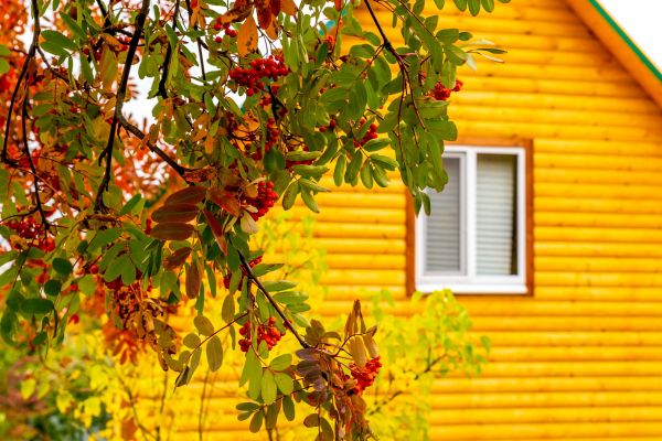 Garden Window Replacement in Pasco